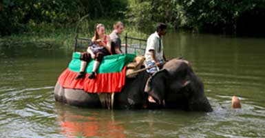 Voyage-à-Sri-Lanka–