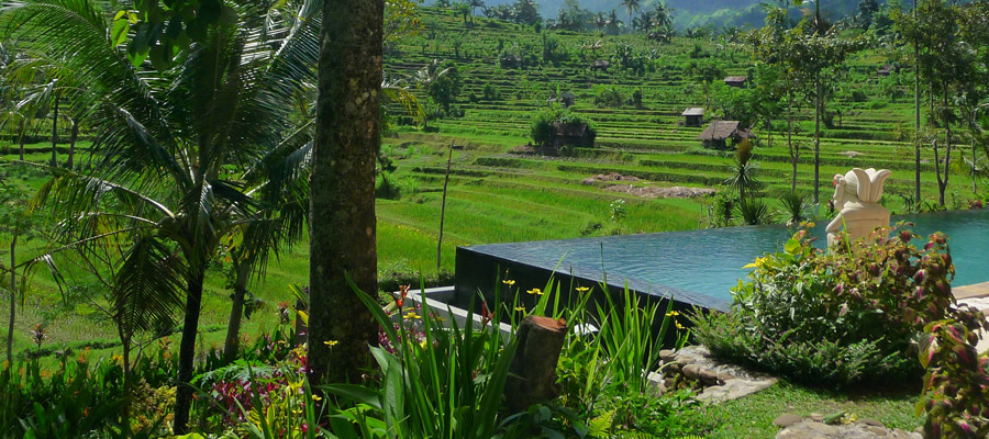 Voyage à Bali